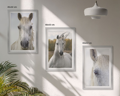 Set de 3 cuadros para salón Caballos blancos en la naturaleza