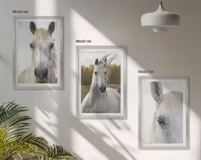 Set de 3 cuadros para salón con diseño de caballos blancos en la naturaleza