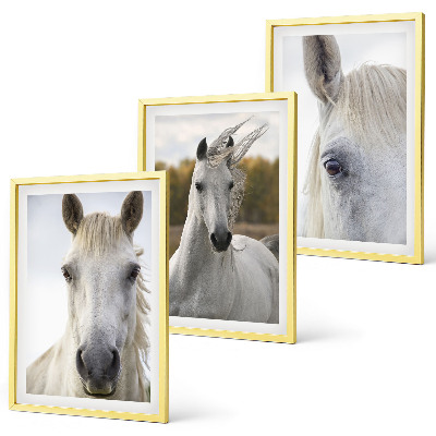 Set de 3 cuadros para salón Caballos blancos en la naturaleza