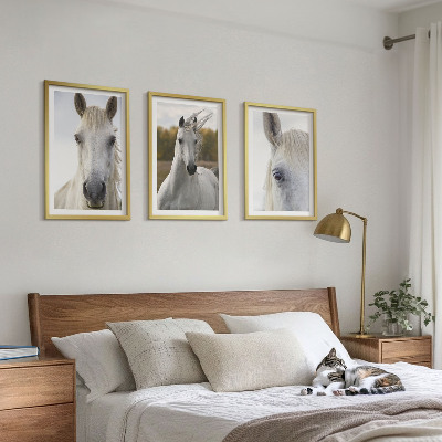 Set de 3 cuadros para salón Caballos blancos en la naturaleza