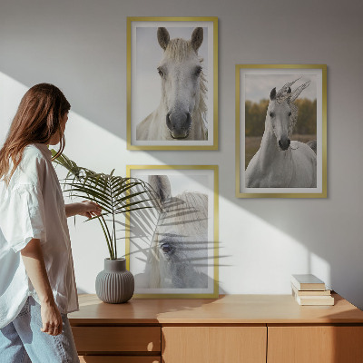 Set de 3 cuadros para salón Caballos blancos en la naturaleza