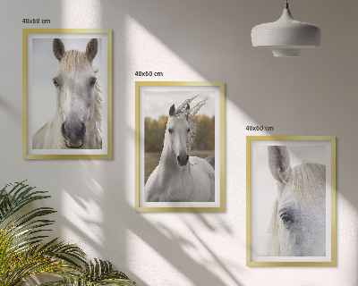 Set de 3 cuadros para salón Caballos blancos en la naturaleza