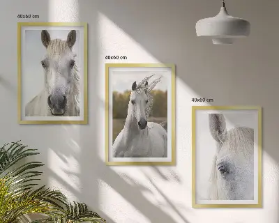 Set de 3 cuadros para salón con diseño de caballos blancos en la naturaleza