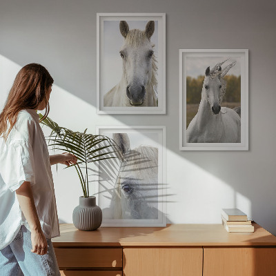 Set de 3 cuadros para salón Caballos blancos en la naturaleza