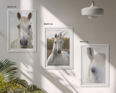 Set de 3 cuadros para salón Caballos blancos en la naturaleza