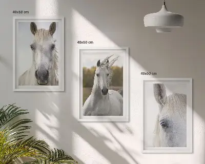Set de 3 cuadros para salón con diseño de caballos blancos en la naturaleza