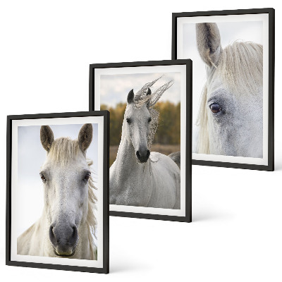 Set de 3 cuadros para salón Caballos blancos en la naturaleza