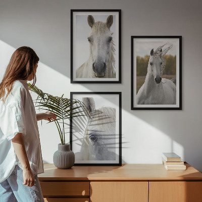 Set de 3 cuadros para salón Caballos blancos en la naturaleza