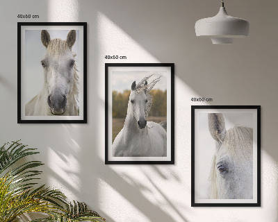 Set de 3 cuadros para salón Caballos blancos en la naturaleza