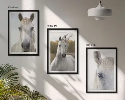 Set de 3 cuadros para salón con diseño de caballos blancos en la naturaleza