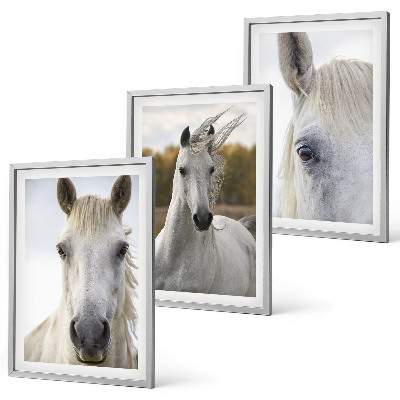 Set de 3 cuadros para salón Caballos blancos en la naturaleza