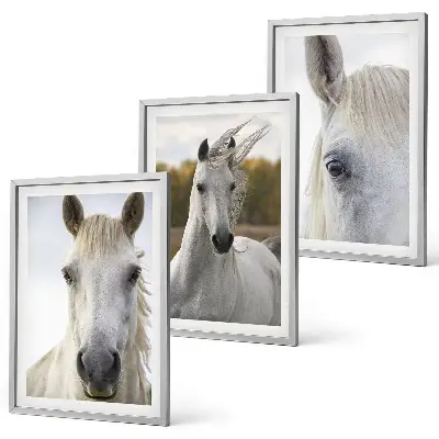 Set de 3 cuadros para salón con diseño de caballos blancos en la naturaleza