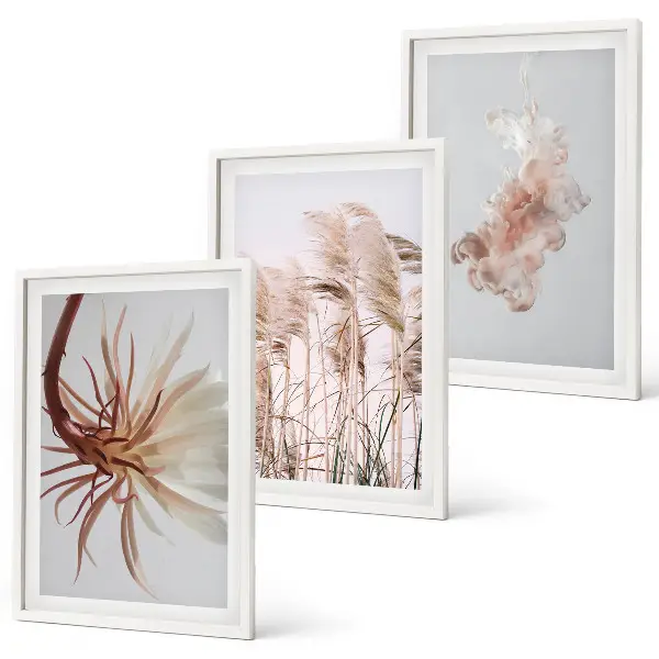 Set de 3 cuadros para salón con diseño de flores sobre fondo claro