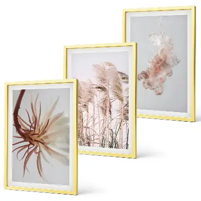Set de 3 cuadros para salón con diseño de flores sobre fondo claro