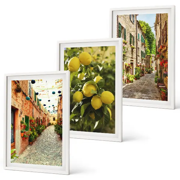 Set de 3 cuadros para salón con diseño de calles con limoneros al fondo