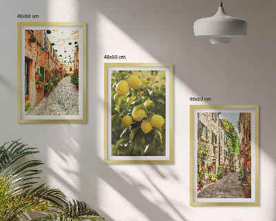 Set de 3 cuadros para salón Calles con limoneros al fondo