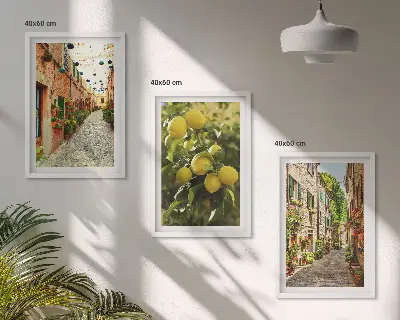 Set de 3 cuadros para salón con diseño de calles con limoneros al fondo