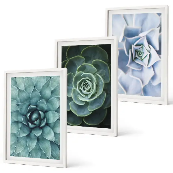 Set de 3 cuadros plantas suculentas en tono verde turquesa
