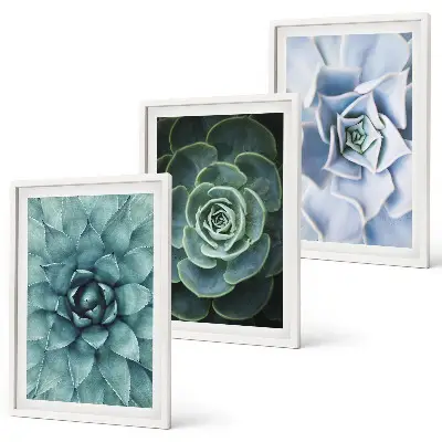 Set de 3 cuadros plantas suculentas en tono verde turquesa