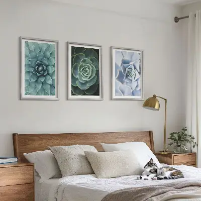 Set de 3 cuadros plantas suculentas en tono verde turquesa