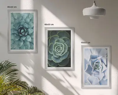 Set de 3 cuadros plantas suculentas en tono verde turquesa