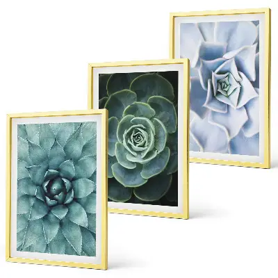 Set de 3 cuadros plantas suculentas en tono verde turquesa