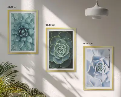 Set de 3 cuadros plantas suculentas en tono verde turquesa