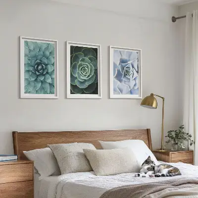 Set de 3 cuadros plantas suculentas en tono verde turquesa