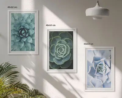 Set de 3 cuadros plantas suculentas en tono verde turquesa