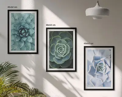 Set de 3 cuadros plantas suculentas en tono verde turquesa