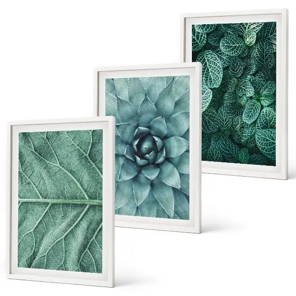 Set de 3 cuadros para salón con primer plano de hojas de planta