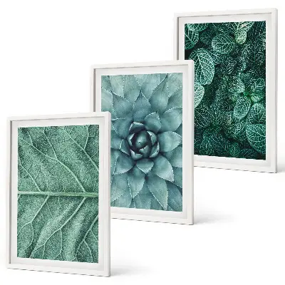 Set de 3 cuadros para salón con primer plano de hojas de planta