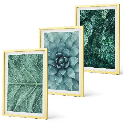 Set de 3 cuadros para salón con primer plano de hojas de planta