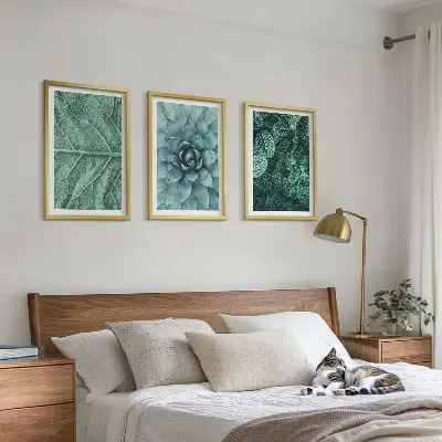 Set de 3 cuadros para salón con primer plano de hojas de planta