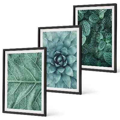 Set de 3 cuadros para salón con primer plano de hojas de planta