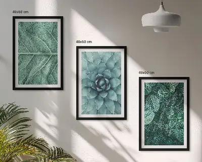 Set de 3 cuadros para salón con primer plano de hojas de planta