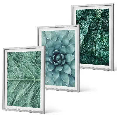 Set de 3 cuadros para salón con primer plano de hojas de planta