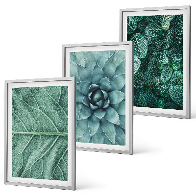 Set de 3 cuadros para salón Primer plano de las hojas de una planta