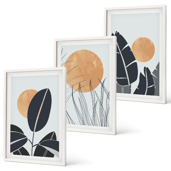 Set de 3 cuadros para salón Patrones de plantas grandes soles minimalistas