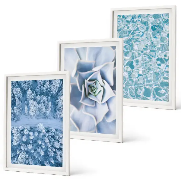 Juego de 3 cuadros con diseño de agua de flores azules del bosque invernal