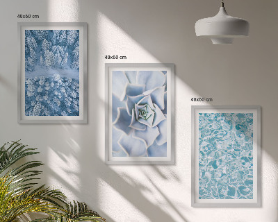 Juego de 3 cuadros Agua de flores azules del bosque invernal