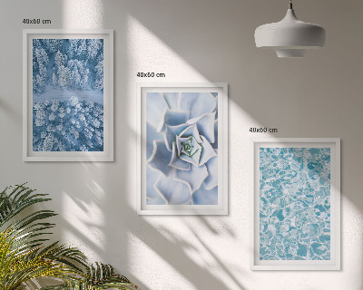 Juego de 3 cuadros Agua de flores azules del bosque invernal
