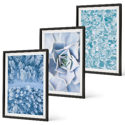 Juego de 3 cuadros Agua de flores azules del bosque invernal