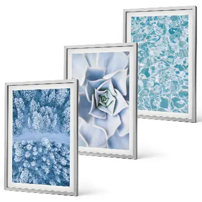 Juego de 3 cuadros con diseño de agua de flores azules del bosque invernal
