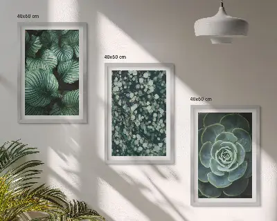 Juego de 3 cuadros con diseño de suculentas de hojas verdes
