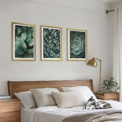 Juego de 3 cuadros con diseño de suculentas de hojas verdes