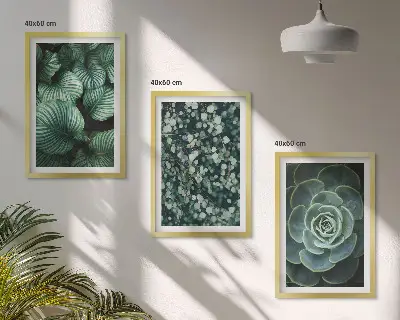 Juego de 3 cuadros con diseño de suculentas de hojas verdes