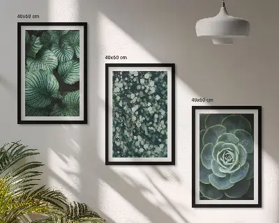 Juego de 3 cuadros con diseño de suculentas de hojas verdes
