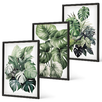 Juego de 3 cuadros Acuarela de hojas tropicales verdes