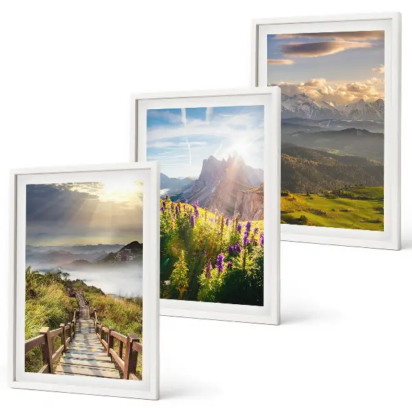 Juego de 3 cuadros de paisaje montañoso con flores decoración de pared
